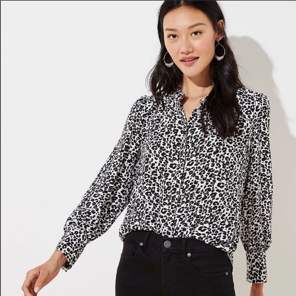 Loft Cheetah Print Blouse - Picture 1 of 6